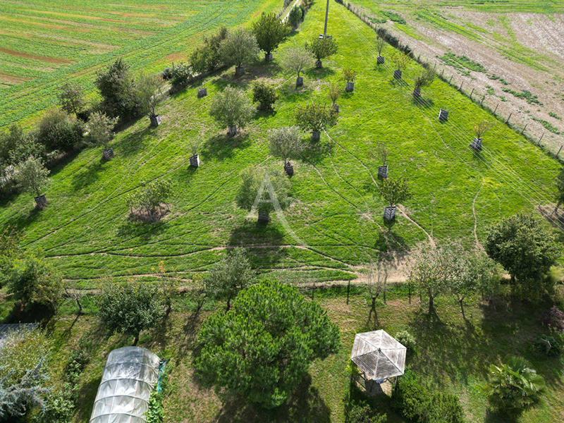 Maison - 250 m² - 8 pièces