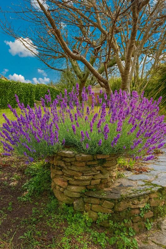 Villa - 337 m² - 15 pièces