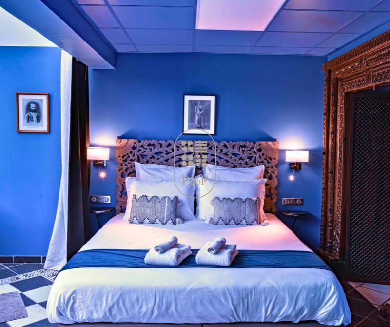 Hôtel particulier - 423 m² - 8 pièces