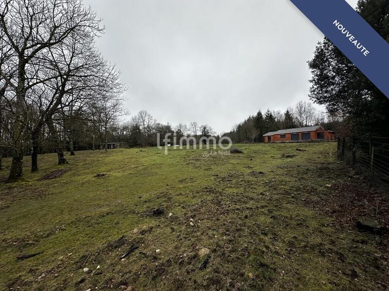 Terrain - 2 931 m²