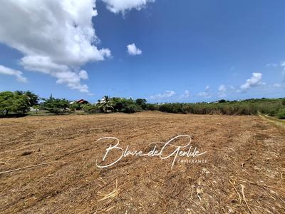 Terrain constructible - 6 000 m²