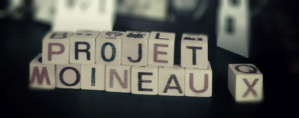 Résidence d'artistes : Projet moineau(x)