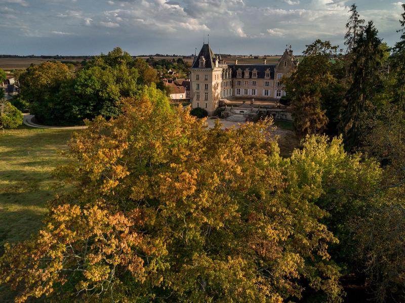 Château - 4 200 m² - 72 pièces