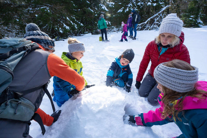 Sorties raquettes - P'tit trappeur