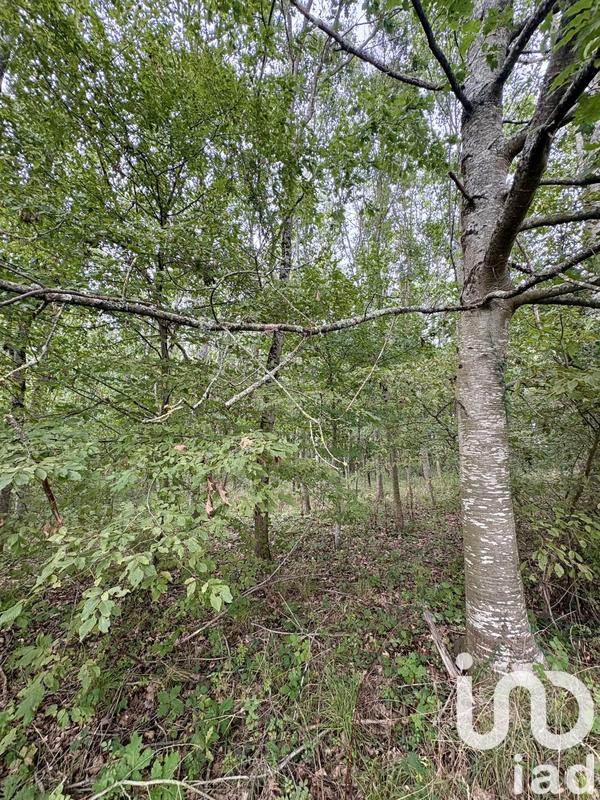 Terrain - 44 521 m²