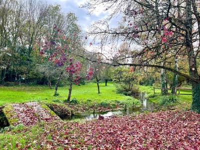 Maison - 362 m² - 11 pièces