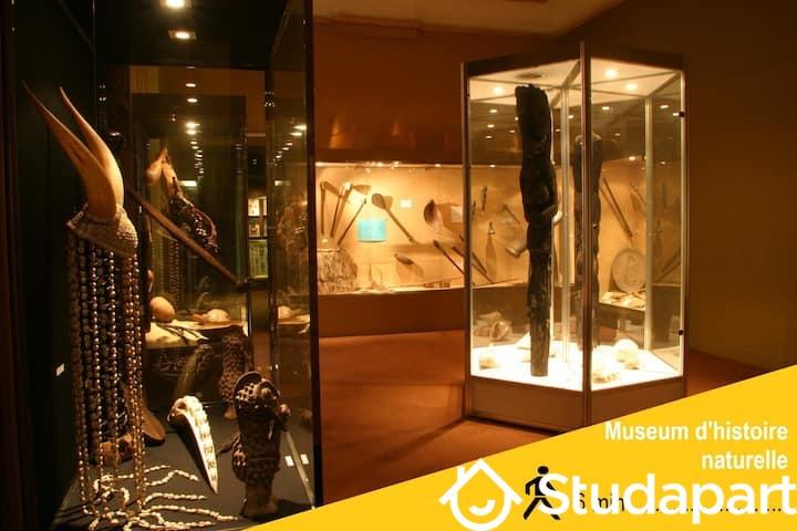 Appartement - 30 m² - 1 pièce