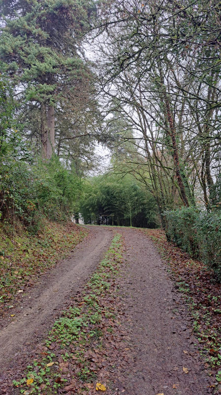 Maison - 70 m² - 2 pièces