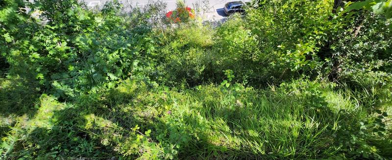 Terrain constructible - 1 161 m²