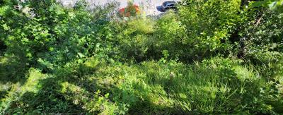 Terrain constructible - 1 161 m²