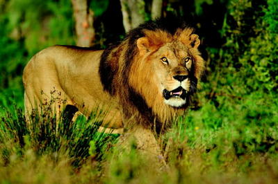 Maison - 137 m² - 4 pièces