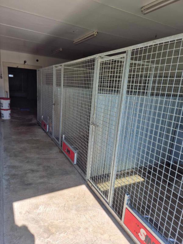 Maison - 250 m² - 6 pièces