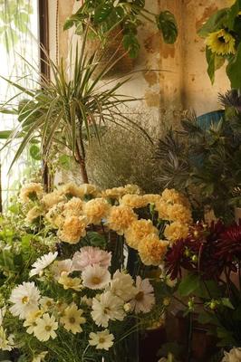 Fonds de commerce - Magasins - 70 m²