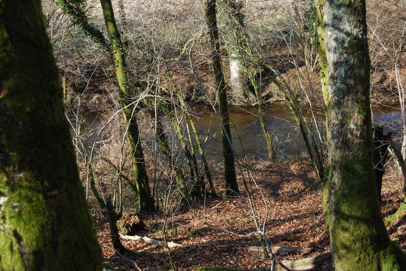 Maison - 365 m² - 14 pièces