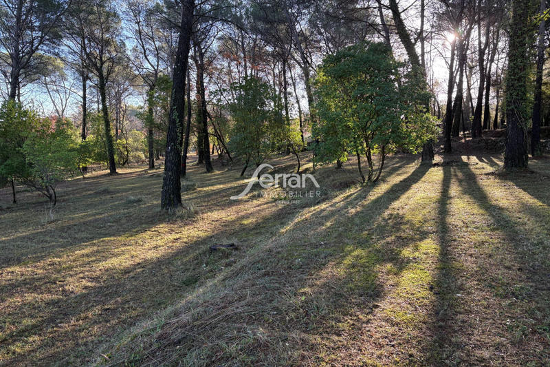 Terrain - 7 100 m²