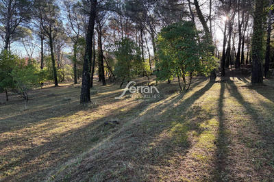 Terrain - 7 100 m²