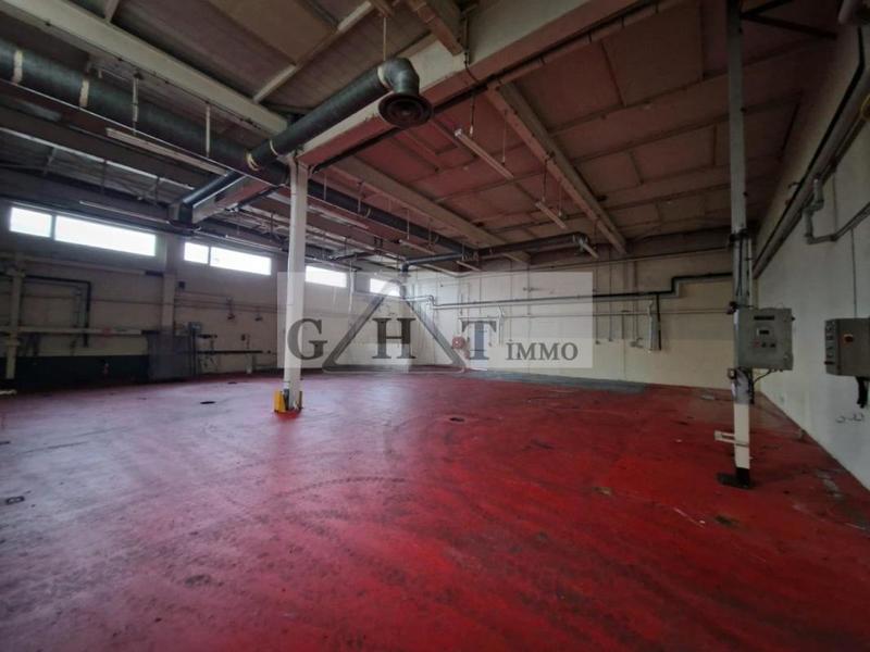 Entrepôt - 5 850 m²