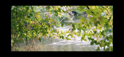 Terrain - 243 800 m²