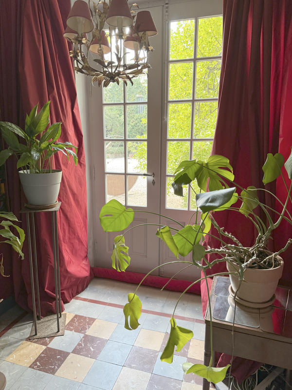 Propriété - 1 300 m² - 15 pièces