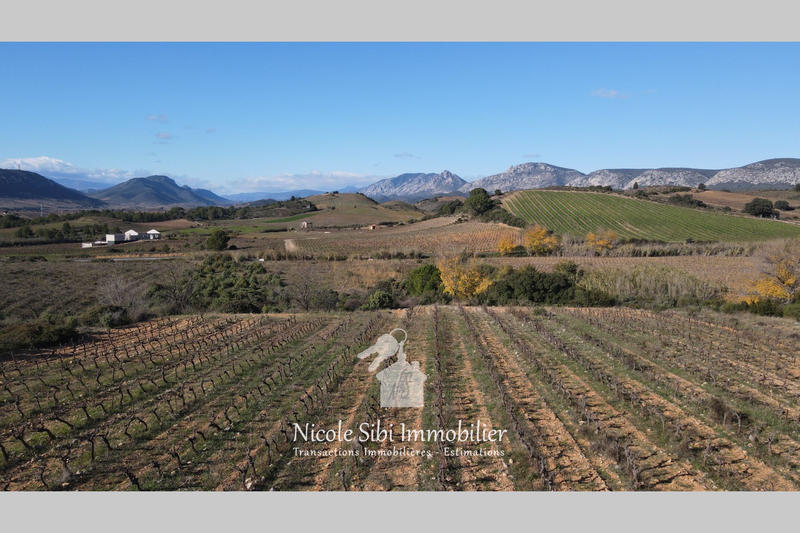 Terrain agricole - 32 050 m²