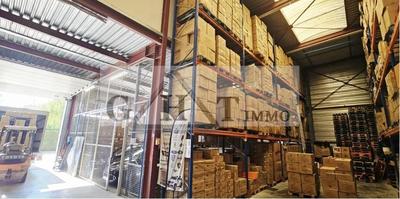 Entrepôt - 788 m²