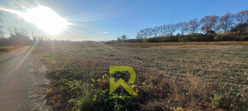 Terrain agricole - 8 235 m²