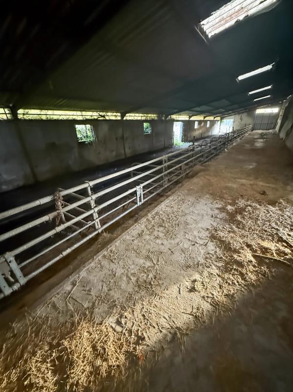 Maison en pierre - 130 m² - 9 pièces