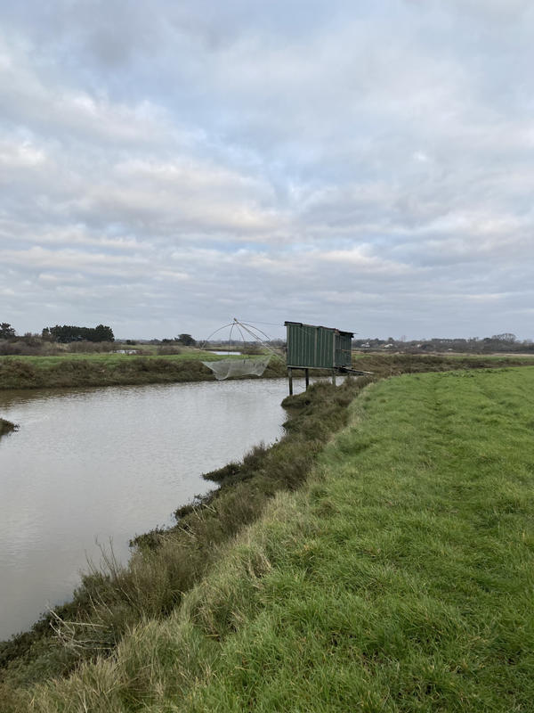 Terrain - 20 443 m²