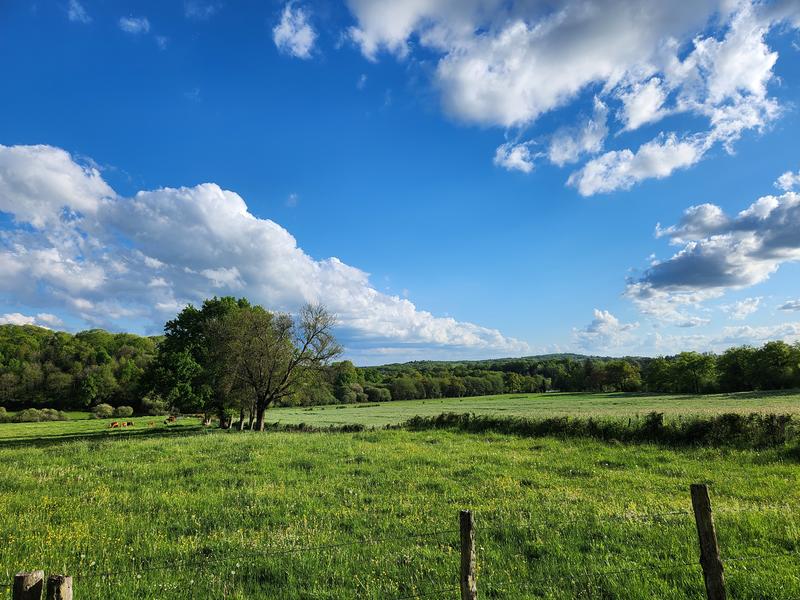 Maison - 142 m² - 5 pièces