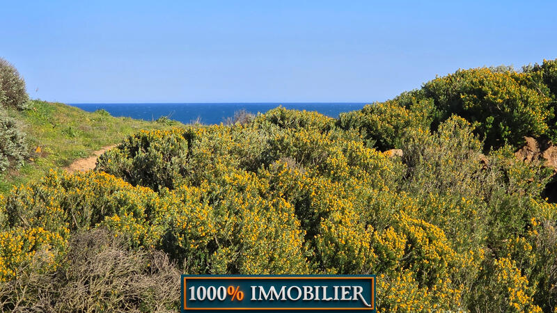 Appartement - 30 m² - 2 pièces