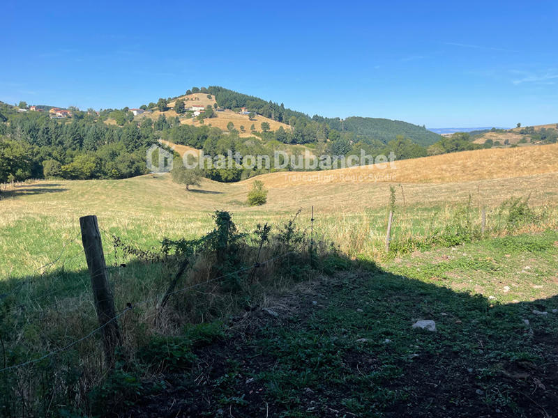 Corps de ferme - 171 m² - 7 pièces