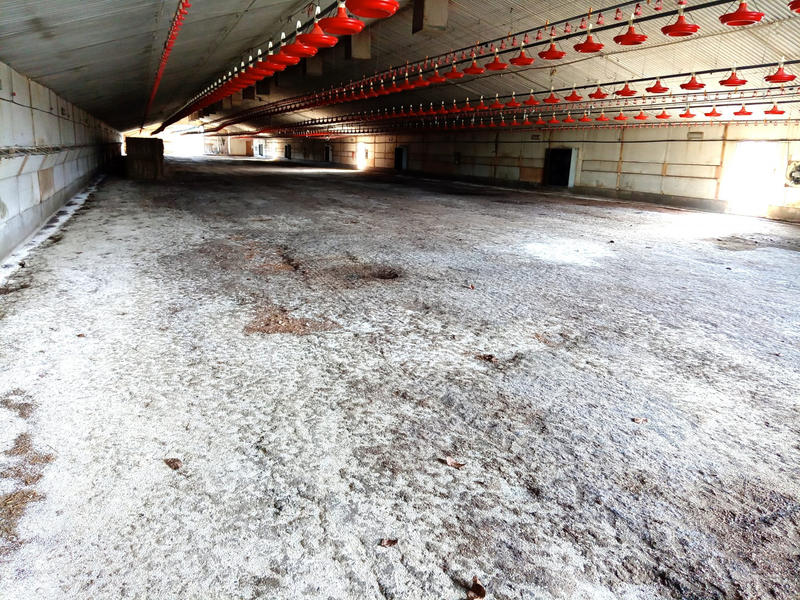 Terrain agricole - 170 000 m²