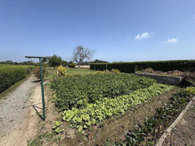 Maison - 128 m² - 4 pièces