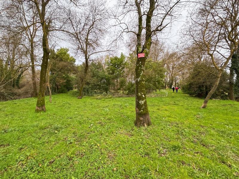 Maison - 188 m² - 5 pièces