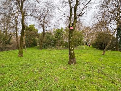 Maison - 188 m² - 5 pièces