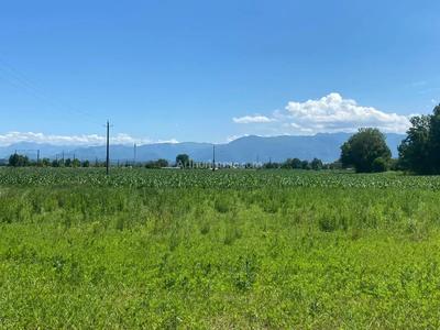 Terrain - 731 m²