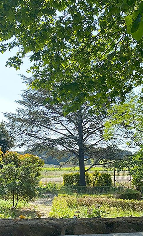 Mas - 330 m² - 8 pièces