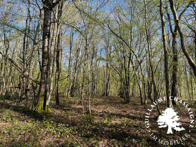 Terrain - 126 780 m²