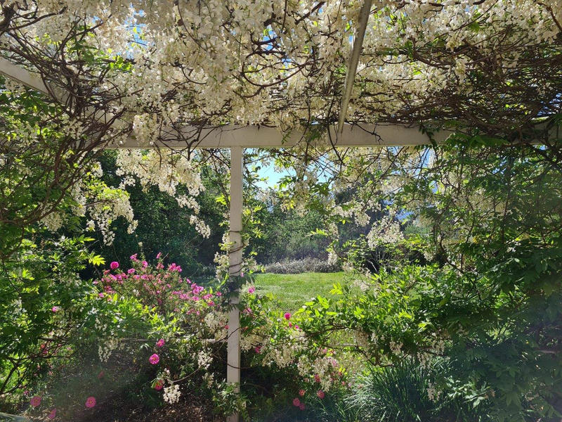 Maison - 147 m² - 4 pièces