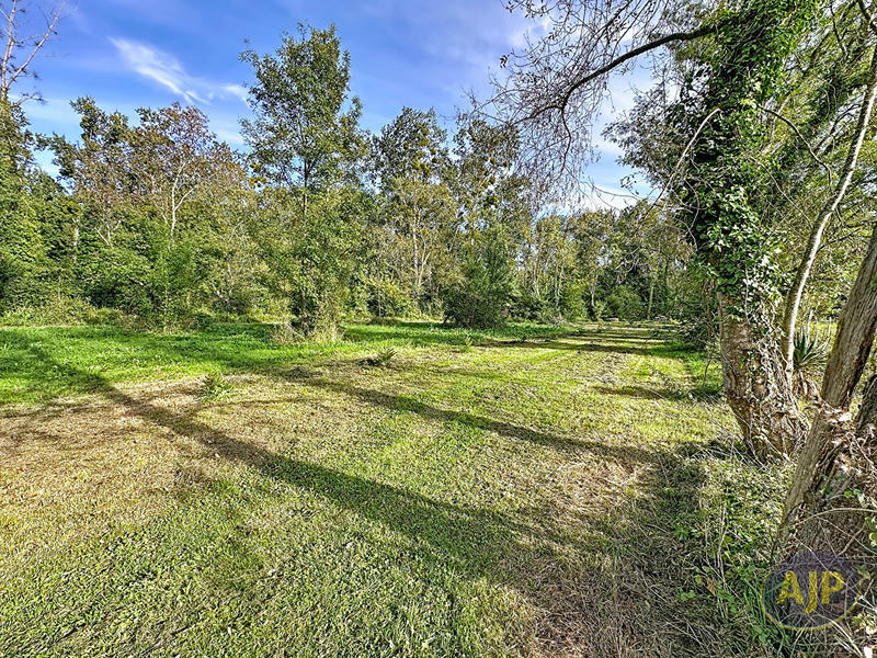 Maison - 220 m² - 11 pièces