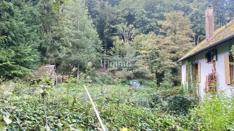 Maison ancienne - 225 m² - 8 pièces