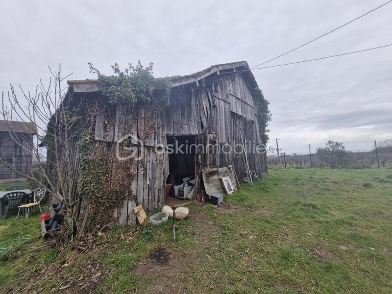 Maison en pierre - 145 m² - 5 pièces