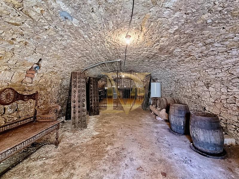 Maison - 350 m² - 10 pièces