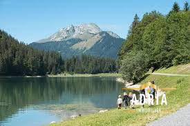 Appartement - 54 m² - 2 pièces