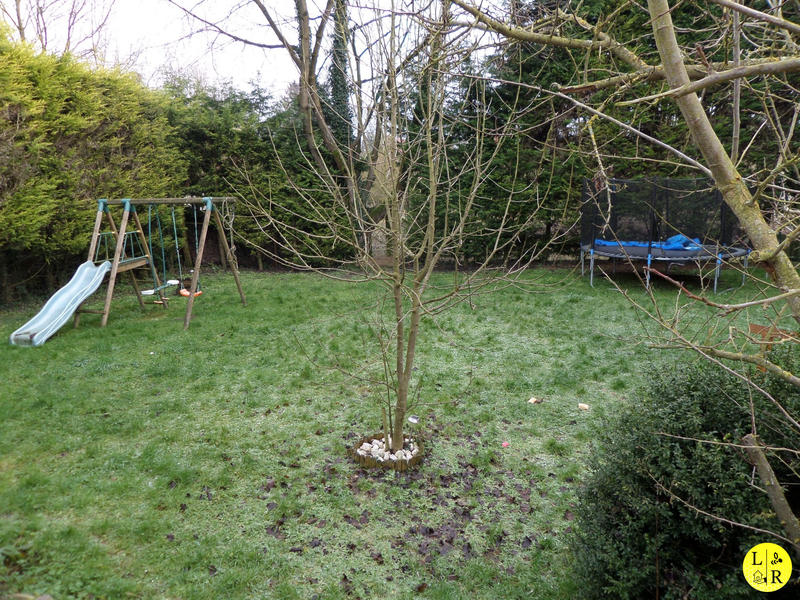 Ferme - 190 m² - 5 pièces