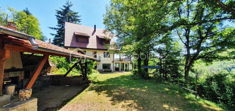 Propriété - 312 m² - 7 pièces