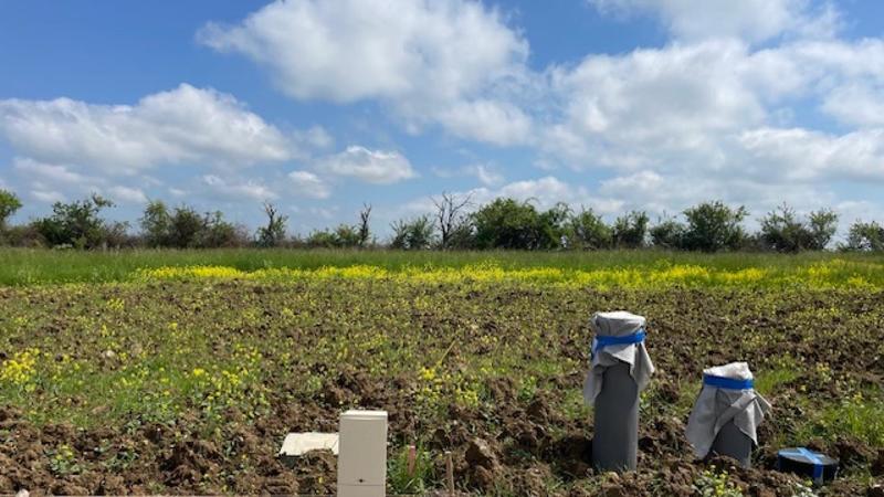 Terrain constructible - 651 m²