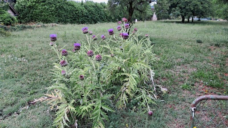 Maison - 114 m² - 5 pièces