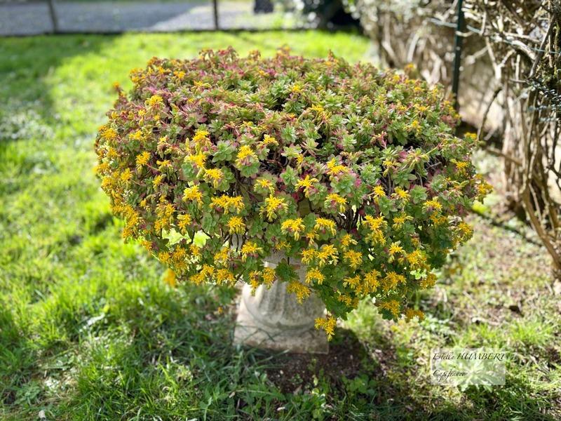 Maison - 94 m² - 5 pièces