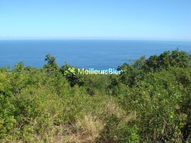 Terrain constructible - 3 650 m²